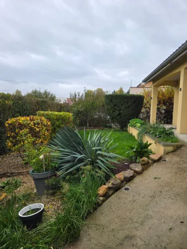 Taille d'automne des arbustes à Belleville-en-Beaujolais, Belleville-en-Beaujolais, Nature en Beaujolais
