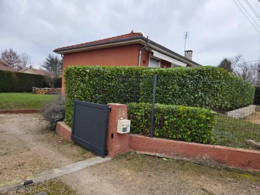 Taille de haies à Cormoranche-sur-Saône, Belleville-en-Beaujolais, Nature en Beaujolais