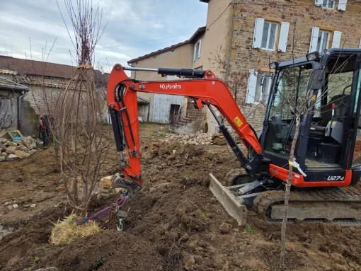 Plantation d'arbre à Juliénas, Belleville-en-Beaujolais, Nature en Beaujolais