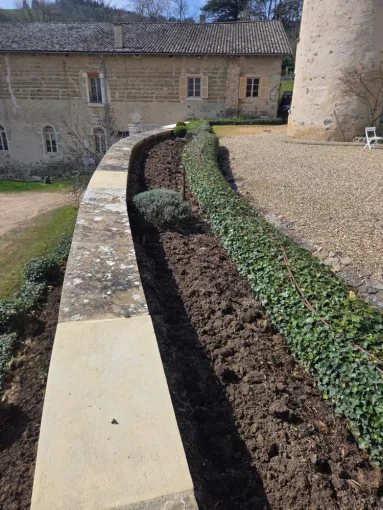 Entretien de massif : bêchage et enrichissement au fumier à Saint-Germain-en-Lay, Belleville-en-Beaujolais, Nature en Beaujolais