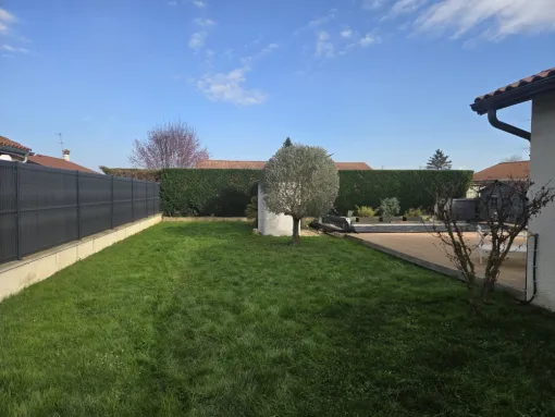 Taille d’un olivier et d’une haie à Savigneux, Belleville-en-Beaujolais, Nature en Beaujolais