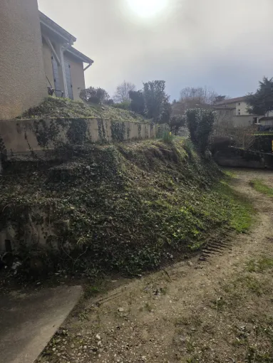 Taille du talus à Quincié-en-Beaujolais, Belleville-en-Beaujolais, Nature en Beaujolais