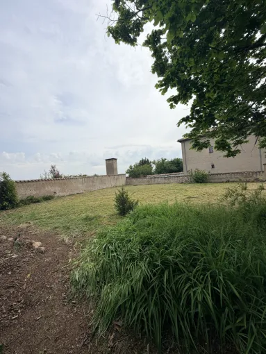 Remise au propre d'une propriété à Quincié-en-Beaujolais, Belleville-en-Beaujolais, Nature en Beaujolais