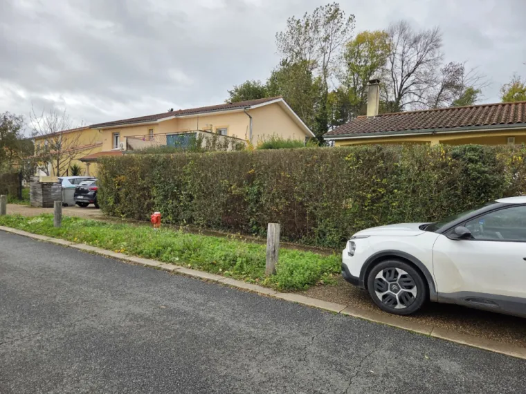 Est-ce le moment idéal pour tailler votre haie ?, Belleville-en-Beaujolais, Nature en Beaujolais