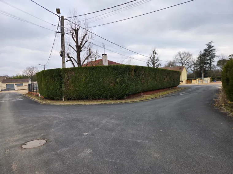 Recommandations pour la taille des haies de cyprès et de thuyas, Belleville-en-Beaujolais, Nature en Beaujolais