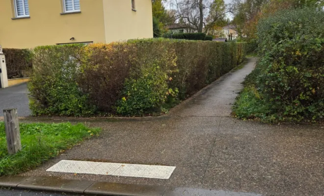Est-ce le moment idéal pour tailler votre haie ?, Belleville-en-Beaujolais, Nature en Beaujolais