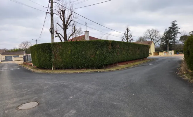 Taille de haies à Cormoranche-sur-Saône, Belleville-en-Beaujolais, Nature en Beaujolais