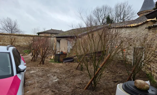 Plantation d'arbre à Juliénas, Belleville-en-Beaujolais, Nature en Beaujolais