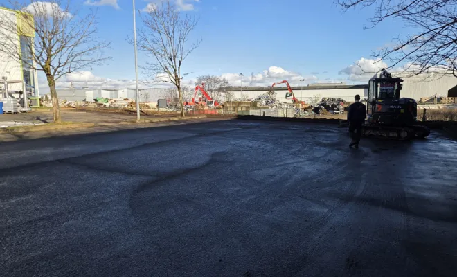 Abattage d'une haie de cyprès de 40 mètres à Villefranche-sur-Saône, Belleville-en-Beaujolais, Nature en Beaujolais