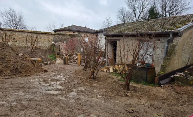 Plantation d'arbre à Juliénas, Belleville-en-Beaujolais, Nature en Beaujolais