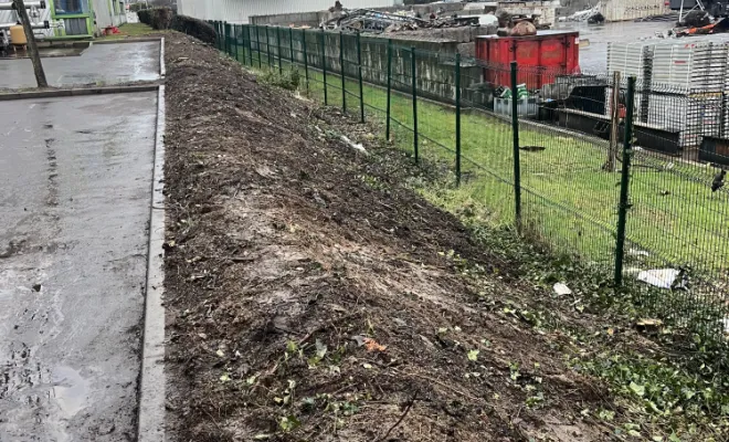 Plantation de lauriers à Villefranche-sur-Saône, Belleville-en-Beaujolais, Nature en Beaujolais