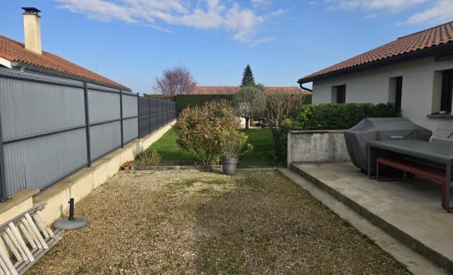 Taille d’un olivier et d’une haie à Savigneux, Belleville-en-Beaujolais, Nature en Beaujolais