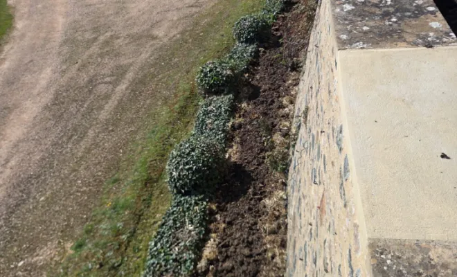 Entretien de massif : bêchage et enrichissement au fumier à Saint-Germain-en-Lay, Belleville-en-Beaujolais, Nature en Beaujolais