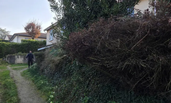 Taille du talus à Quincié-en-Beaujolais, Belleville-en-Beaujolais, Nature en Beaujolais
