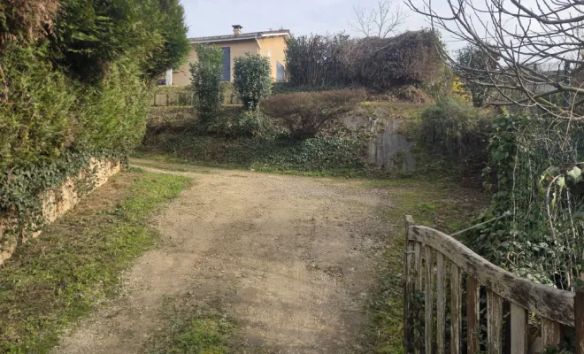 Taille du talus à Quincié-en-Beaujolais, Belleville-en-Beaujolais, Nature en Beaujolais
