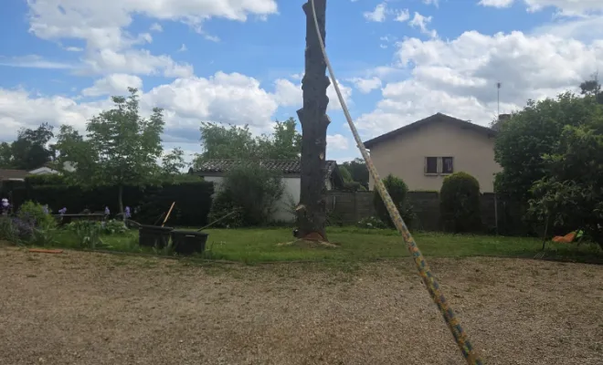 Abattage d'un arbre à Beaujeu, Belleville-en-Beaujolais, Nature en Beaujolais