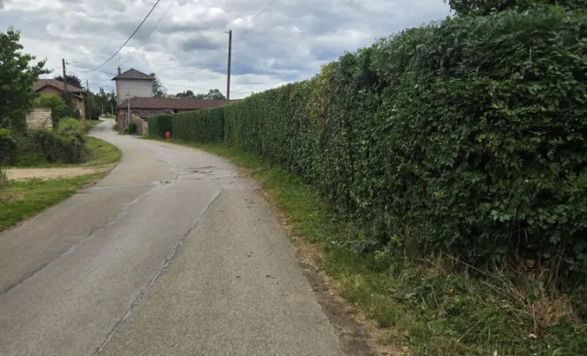 Entretien complet d'une propriété à Villefranche-sur-Saône, Belleville-en-Beaujolais, Nature en Beaujolais