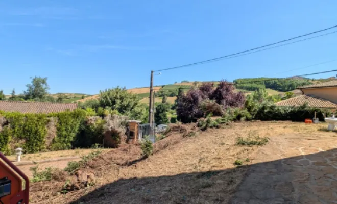 Arrachage de haie au Perréon, Belleville-en-Beaujolais, Nature en Beaujolais