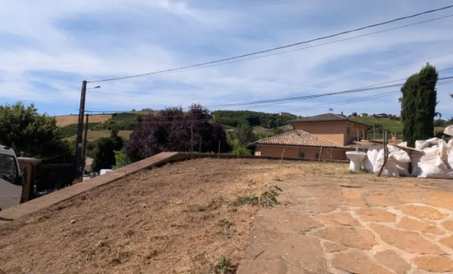 Arrachage de haie au Perréon, Belleville-en-Beaujolais, Nature en Beaujolais