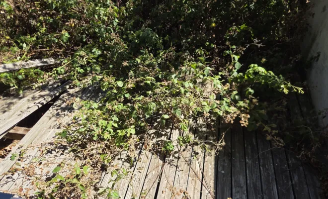 Remise en état de votre propriété, avec la création d’une terrasse en bois sur mesure à Proprières, Belleville-en-Beaujolais, Nature en Beaujolais