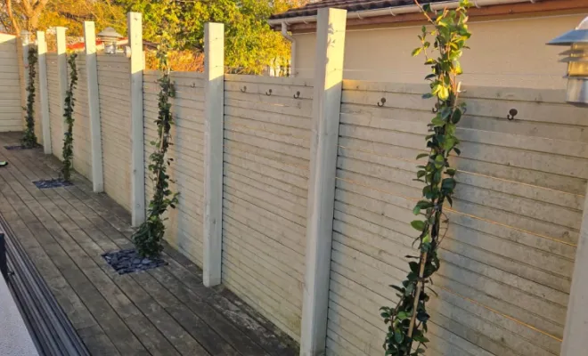 Création sur divers chantiers, Belleville-en-Beaujolais, Nature en Beaujolais